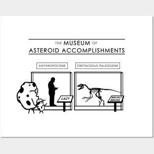 The Museum of Asteroid Accomplishments Posters and Art